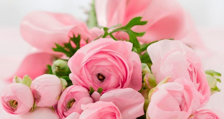 What Are the Various Health Benefits Associated with Flowers?